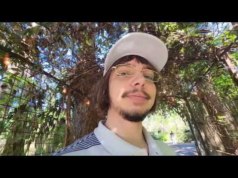 im it , it is wat it is prod @CATXSCAN