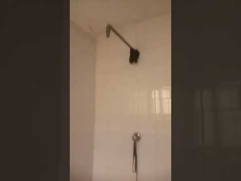 Room Self-Contained Apartment at Bucknor