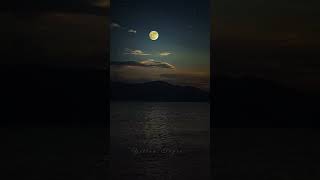 Salamat Video Song Status | SARBJIT | Randeep Hooda,| Arijit Singh,Amaal Mallik