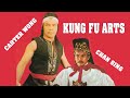 Wu Tang Collection Kung Fu Arts