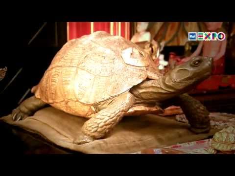 Gabriele D'Annunzio, gourmand