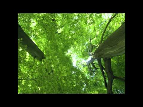 Deepmix Moscow Radio: Pushkarev dj set @kitchen [segment]