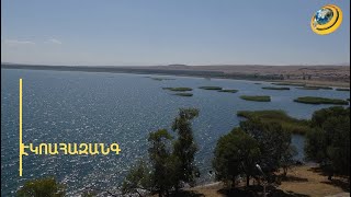 ԷԿՈԱՀԱԶԱՆԳ. Սևանը կարող է դառնալ մեծ ճահիճ