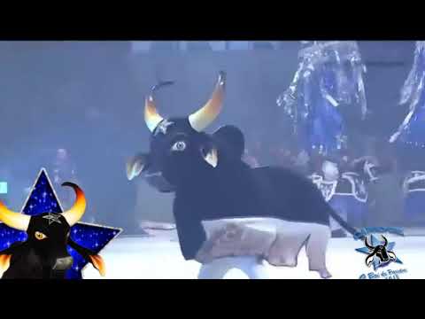 Demo Caprichoso 2019 ☆ REBOJO ☆