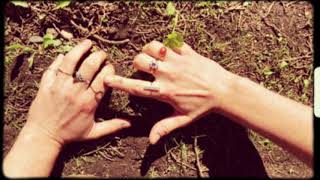 Aria Falco | LA PRIMA VOLTA 🌷