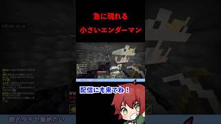 小さいエンダーマン #shorts  #マイクラ #マインクラフト #minecraft  #参加型 #事故 #都市伝説 #エンダーマン #マグマ