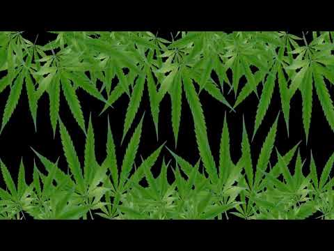 Club Visuals 1045 - Marihuana Leaves Animated Background