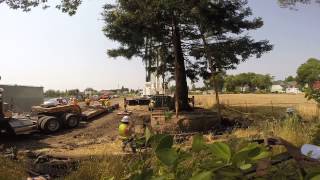 preview picture of video 'Rare Chimera tree replanting in Cotati CA. #7 with audio'