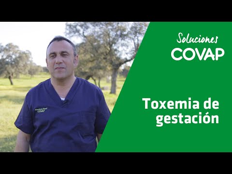 , title : 'Soluciones COVAP | Toxemia de gestación.'
