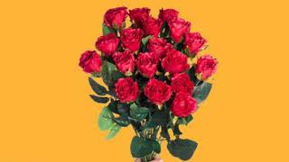 Dillon Francis - Change Your Mind (feat.lovelytheband)