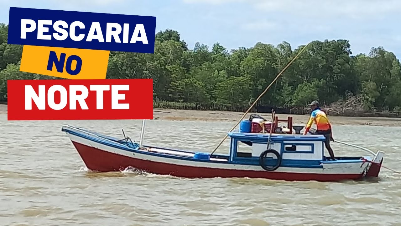 Pescaia Legal no Norte do Maranhão: Is Pescaria Legal the FUTURE of Fishing in Brasil?