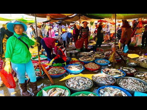 Epic Food Tour in Cambodia Exploring the Bustling Market of Fresh & Dried Fish!