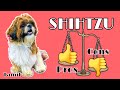 👍 Pros & Cons 👎 Of Shih Tzu || Watch Before You Get One || Tamil || Pavi's Pawdcast 🐾
