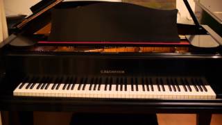 Bechstein Semi Concert Grand Piano for Sale - Used Bechstein Pianos
