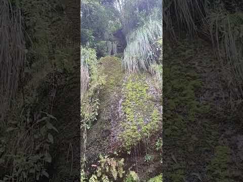 🌄🏜️Rio Yala en el camino hacia las lagunas de Yala Jujuy #3, Febrero 2026🌵🌲🌞