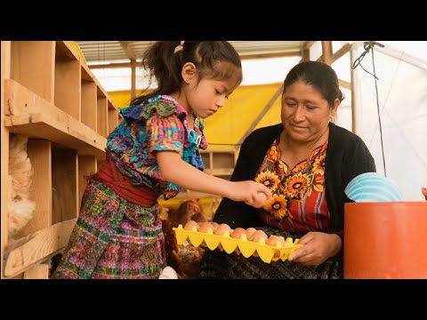 You Gave Chickens for This Family's Livelihood!