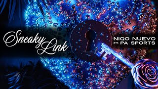 Sneaky Link Music Video