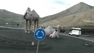 Reel 9  3 Queens Cruise ,Arrecife de Lanzarote November 5, 2018