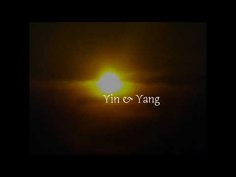 Super 8 aus der Stille #27   Yin & Yang
