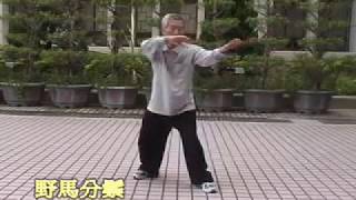 陳泮嶺九九式太極拳(3) xvid