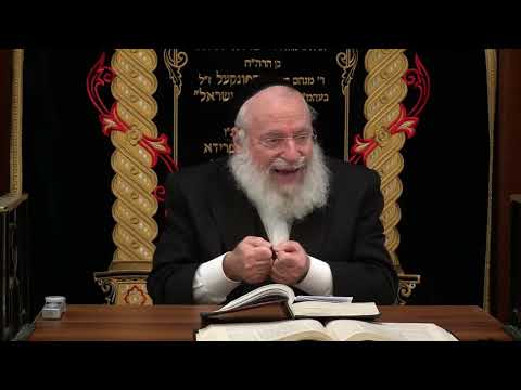 Baruch Shem Kevod Malchuso | Weekly Shiur by Rav Asher Weiss Shlit"a (Vayechi 5786)
