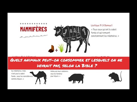 , title : 'Quels animaux peut-on consommer et lesquels on ne devrait pas, selon la Bible?'