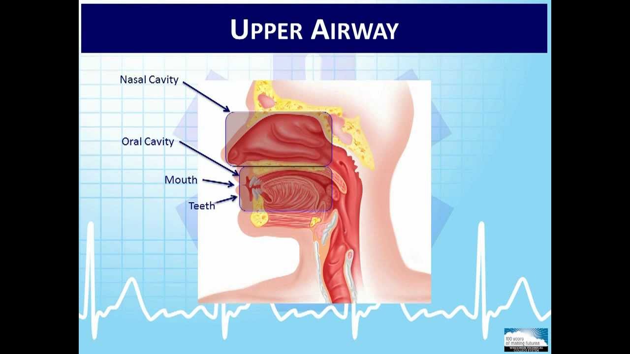 EMT 1-4:  Overview of the Human Body and Physiology