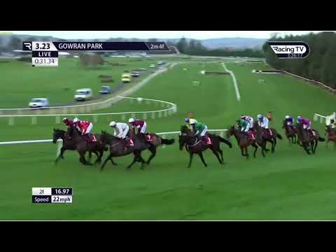 Race (5) 15:23 Gowran Park (IRE) 23 Jan 2025 Daly Farrell Accountants Beginners Chase