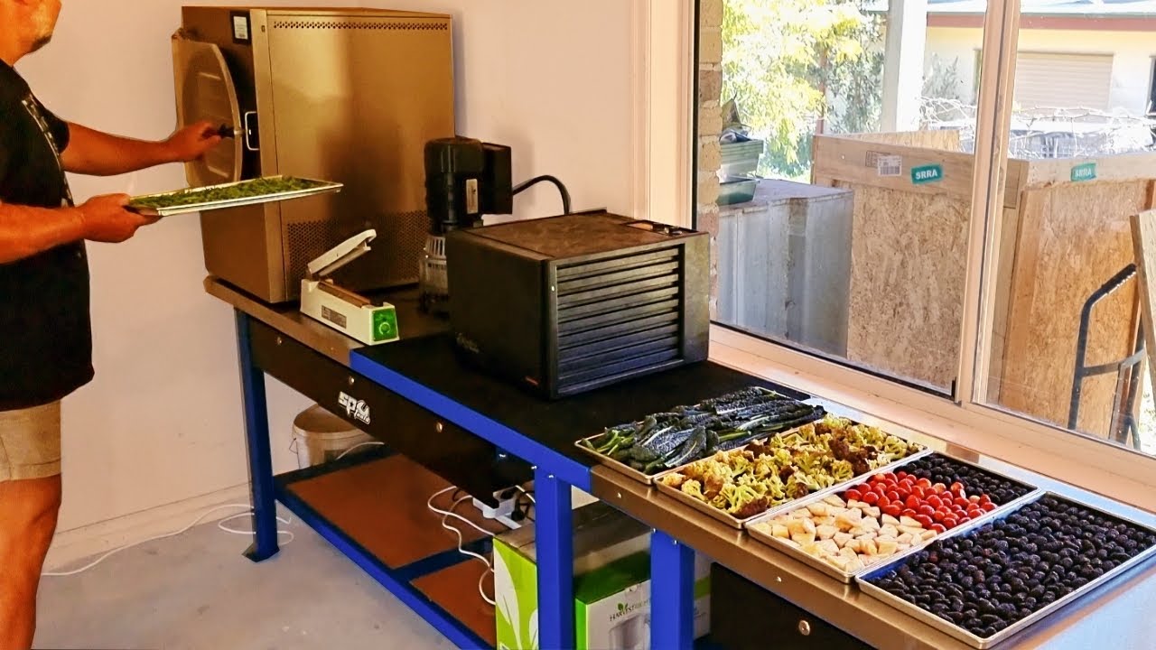 My Dehydrator & Freeze Dryer Set-up For Preserving Homegrown Food