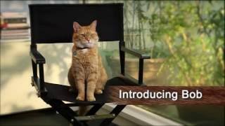 Video trailer för A Street Cat Named Bob - Introducing Bob - At Cinemas November 4