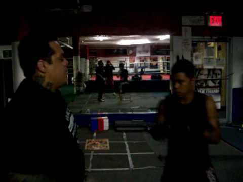 8 SYSTEM MMA SPEED 004.mov