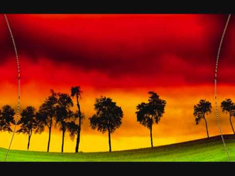 Stephen Marley Ft. Damian Marley - Jah Army