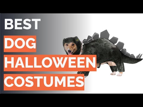 🌵 10 Best Dog Halloween Costumes (Rubie's, Animal Planet, and More)