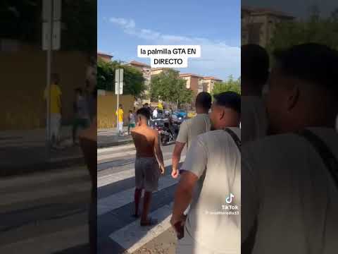 la palmilla disparos en directo