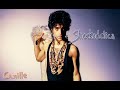 Shockadelica • Prince - Rehearsal '86