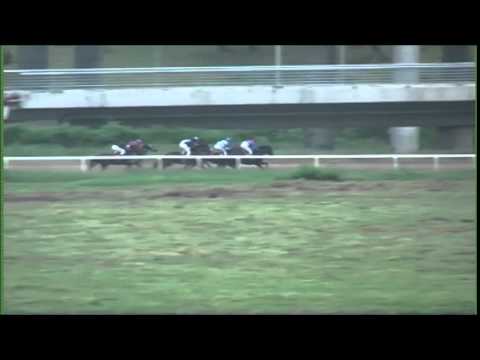 "82.Trial Stakes" (Gr-1) 3g. 1600m Beograd 24.05.2015