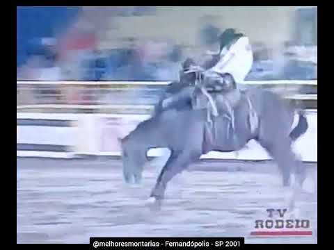 🇧🇷 Osmar Augusto x Xodó - Rodeio de Fernandópolis 2001 #rodeio #cutiano