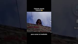 VALENTIN BAJA DEL TECHO!#humor