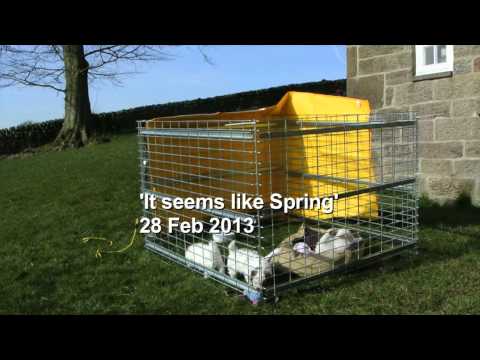 It seems like spring