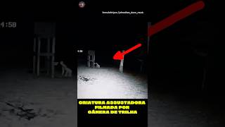 Criatura Assustadora Capturada por Câmera de Trilha!!