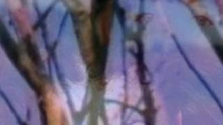 Brigid Boden - The Sidhe