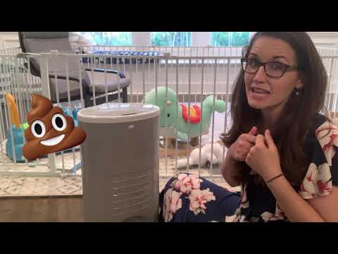 Dekor Plus Diaper Pail Review