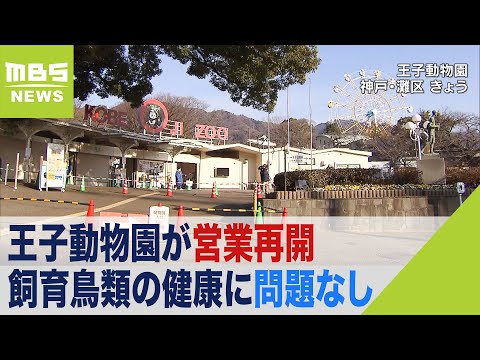 鳥の死骸がドローンに?研究者らは疑わしいプロトタイプを発表