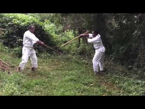 how to perfom Tada Sensei jo kata 1a and 1b with partner