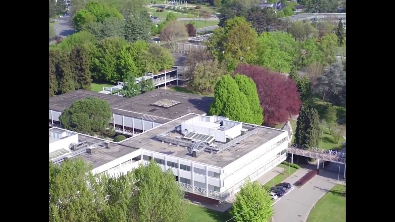 ILO Enterpreneurship Weeks (square format)