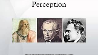Perception