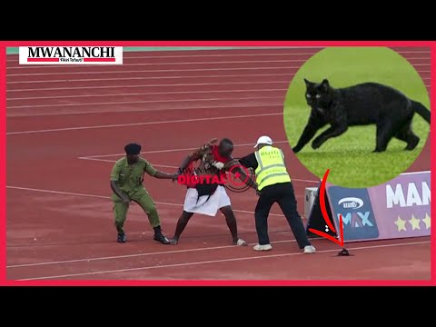 TAZAMA TUKIO LA MGANGA KUTIMBA NA PAKA UWANJANI || SIMBA SC VS FC PLATINUM