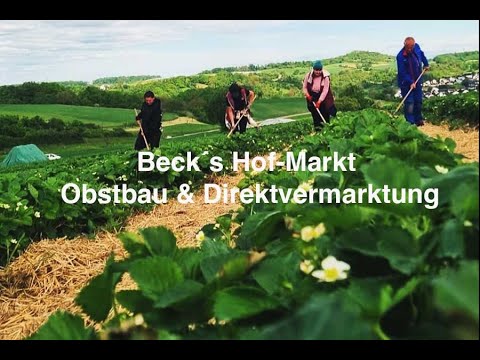 Beck´s Hof-Markt Obstbau & Direktvermarktung im Landkreis Ludwigsburg.