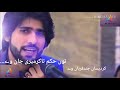 Tu Hukam Ty Kar Meri Jan Zeeshan Rokri Song Status Mani Khan Swati Channel