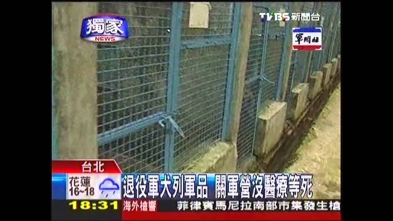〈獨家〉退役軍犬列軍品 軍方改革「退撫制度」